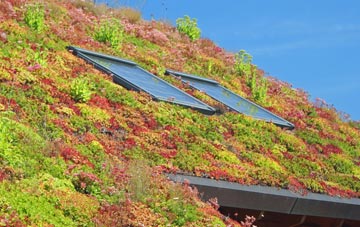 Winceby living roof systems